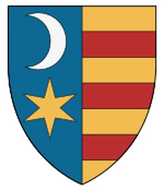 Background for House of Drăculești