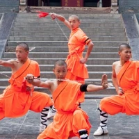 Shaolin Monks